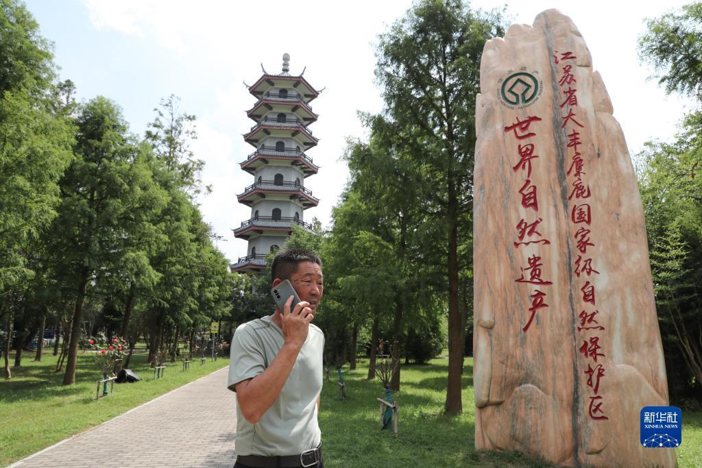 迷你纸牌游戏安卓